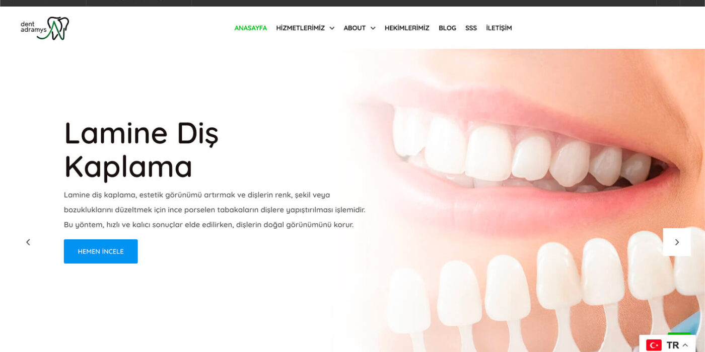 Dent adramys web sitesi geliştirme - Web270